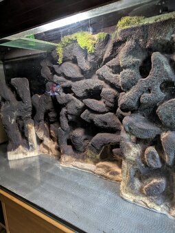 Prodám velké terárium 130 x 45 x 65 - 4