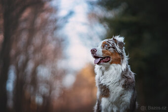 Meopta Meostigmat 100/1,7 Sony E a další - 4