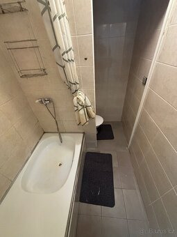 1+KK 19,3 m2 Kostnická - 4