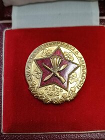 Sjezd  svaz pro spolupráci s armádou odznak - 4