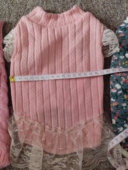 Nové oblečky pro malého psa - 4