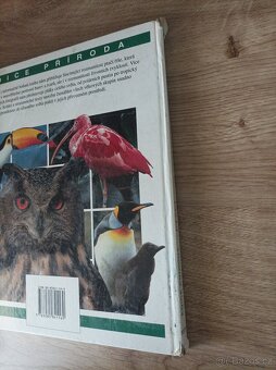 Ptáci / Alderton - 4