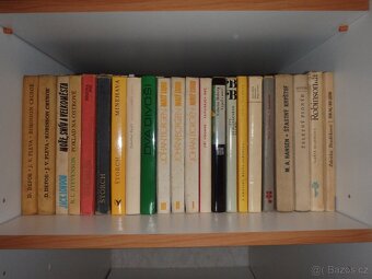 Knihy pro děti a mládež - 4