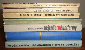 Literatura faktu: - 4