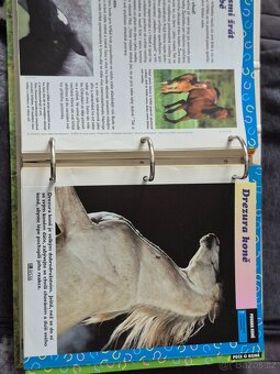 Prodám sbírku o koních - 4