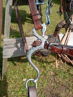 Hackamore drak,uzdečka,oteze - 4