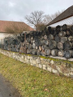Palivové dřevo - 4