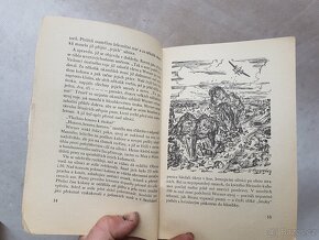 kniha z roku 1943 Kamarádi na život a na smrt Luftwafe WWll - 4