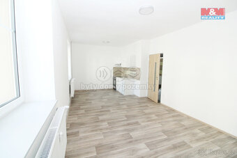 Pronájem bytu 1+kk, 30 m², Dolní Poustevna, ul. Vilémovská - 4