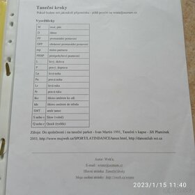 Portfolio společenských a latinskoamerických tanců - 4