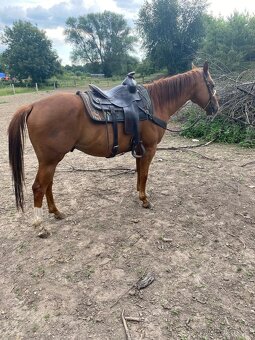Aqh, Qh - 4