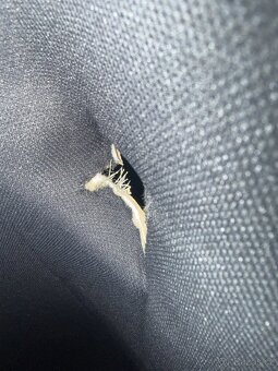 Černá stropnice - Octavia 3 RS - 4