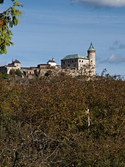 Prodám parcelu v obci Ráby, 592m2 - 4