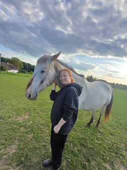 Prodám 10-letou kobylku ApHC/ČT - 4