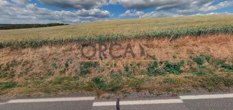 Prodej 0,3 ha pozemků v k.ú. Moravany u Brna - 4
