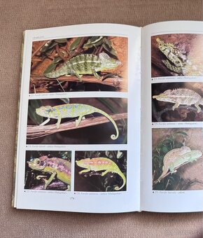 Chameleoni (Petr Nečas) - 4