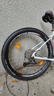 Pells Razzer Comp 7L 27,5" - 4