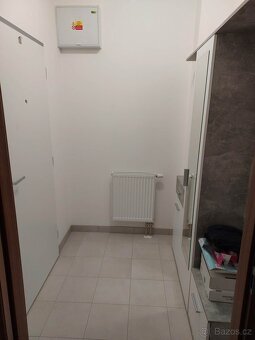 Pronajmu byt 3+kk - 4