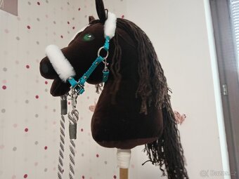 Hobby horse - 4