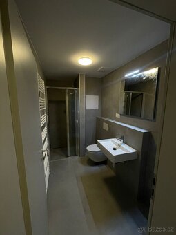 Pronájem bytu 1+kk 30 m² se zahradou 56 m², Plzeň Litice - 4