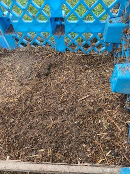 Uleželý králičí hnůj - 4