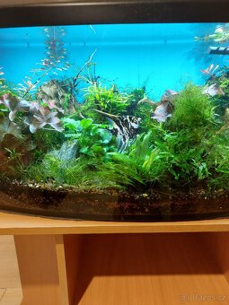 Akvárium i se stolkem - 4