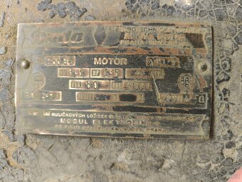 Lesticka dvoukotoucova - 4