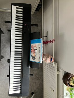 Piano - 4