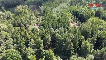 Prodej lesa, 5323 m², Olší u Opařany - 4