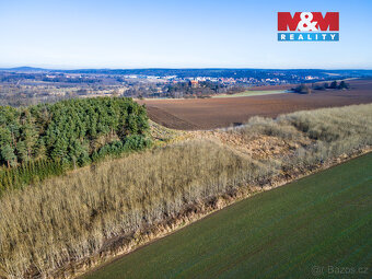 Prodej pole, 24512 m², Horšovský Týn - 4