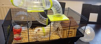 Křeček s domečkem a klecí - 4