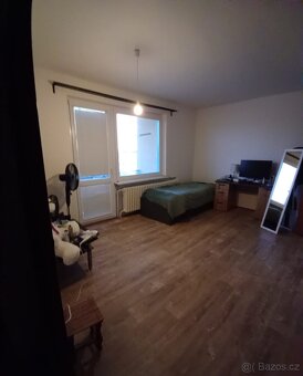 Pronájem byt 3+1 Zelené předměstí Pardubice - 4