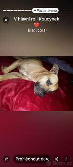 Nabídka je krytí - 4