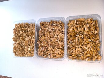 Vlašské ořechy loupané i neloupané 2025 - 4