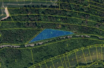 Lesní pozemek k.ú. Tísek 3.049m2 - 4