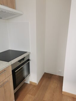 Centrum - Karlovina 1+1 po rekonstrukci, částečně zařízené - 4