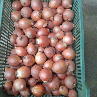 Prodej brambor a cibule - 4