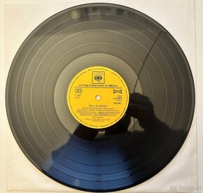 Neil Diamond - Krásný kluk (LP) - 4