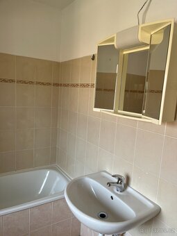 Pronájem bytu v Rožďalovicích - 4