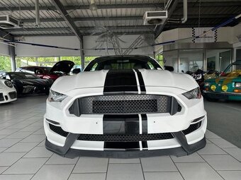 Ford Mustang 5.0 V8 GT Shelby Style (č.1094) - 4
