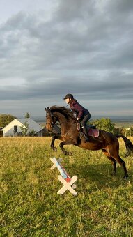 Kobyla na prodej - 4