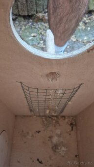 Budky pro papoušky - 4