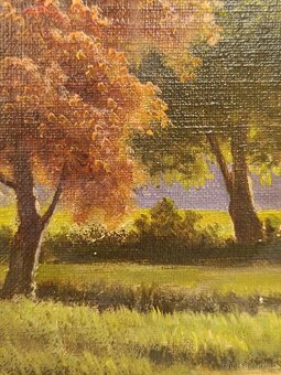 Obraz F. Chvála, Jezero olej na plátně 30x40 - 4