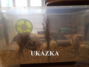 Boxy a vybavení pro křečka - 4