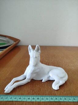 Porcelánové sošky psů z bílého porcelánu - 4