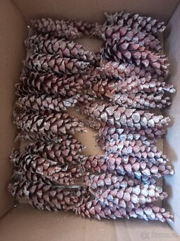 Šišky na tvoření a na dekorace - 4