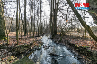 Prodej lesa, 685 m², Horšovský Týn - 4