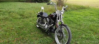 HARLEY DAVIDSON FXSTSI SPRINGER - 4