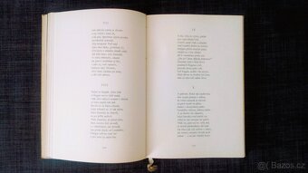 Alexander S Puškin – Eugen Oněgin - 4