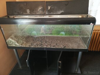 Akvario - 4